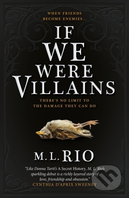 If We Were Villains