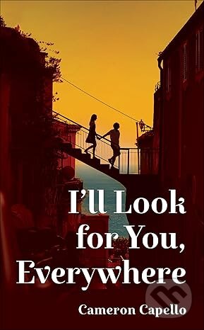 I'll Look for You Everywhere