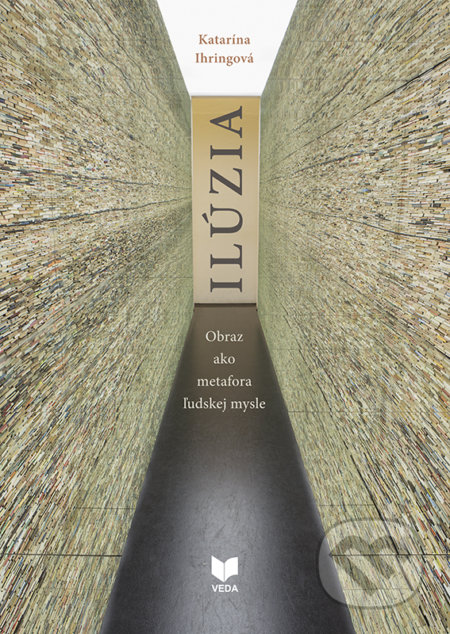 Ilúzia (Obraz ako metafora ľudskej mysle)