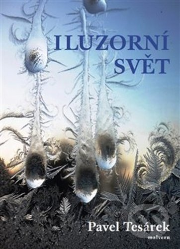 Iluzorní svět