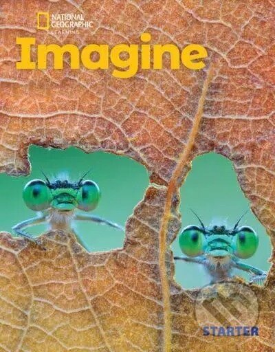 Imagine Starter With the Spark Platform (BRE)