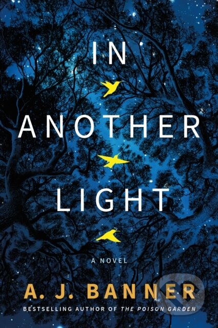 In Another Light (A Novel)