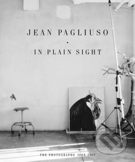 In Plain Sight (The Photographs 1968 - 2017)