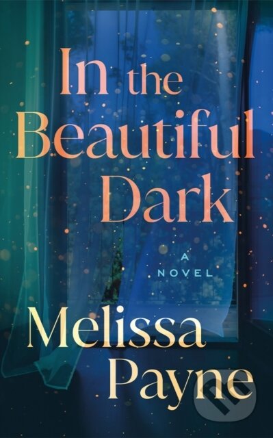 In the Beautiful Dark (A Novel)
