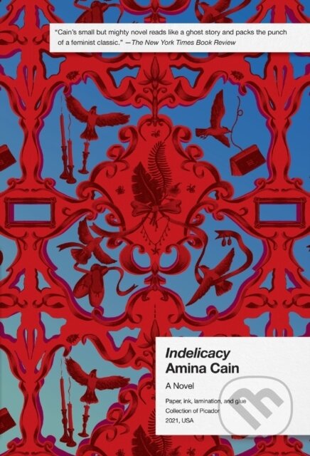 Indelicacy (A Novel)