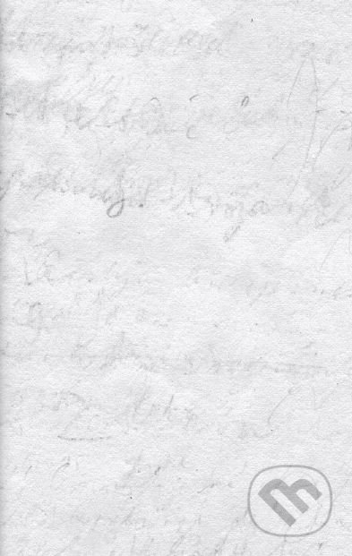 Intenzívne využitie majetku