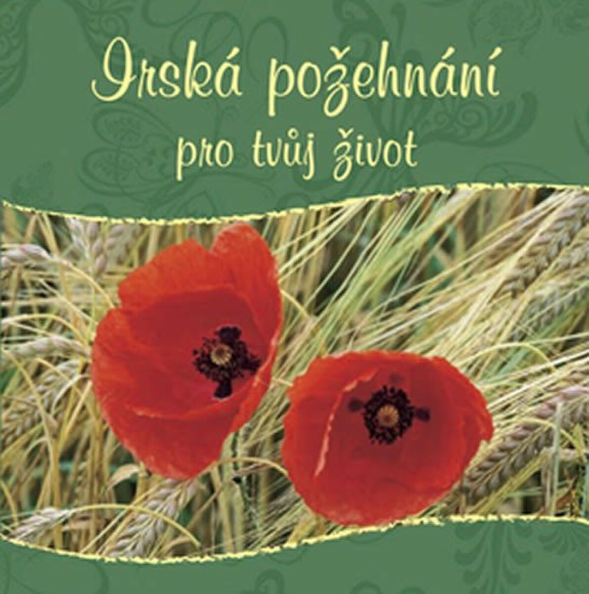 Irská požehnání pro tvůj život - kniha z kategorie Beletrie
