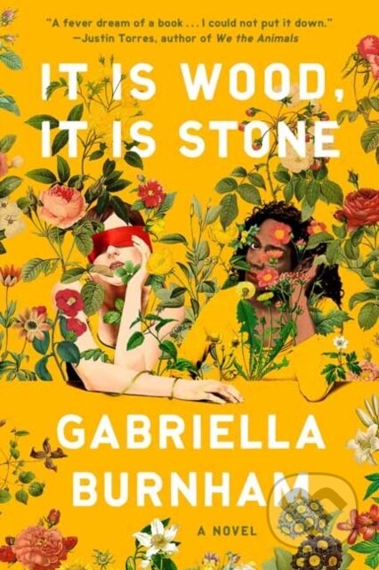 It Is Wood, It Is Stone (A Novel)