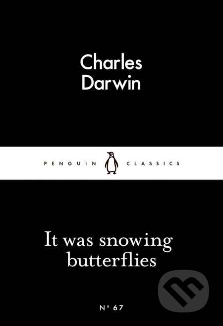 It Was Snowing Butterflies