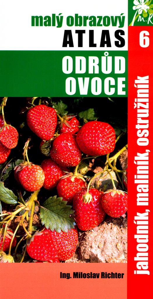 Jahodník, maliník, ostružiník