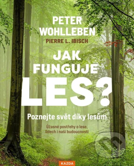 Jak funguje les? Poznejte svět díky lesům