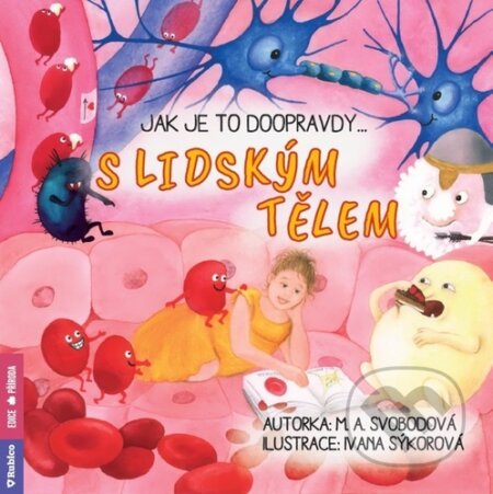 Jak je to doopravdy s lidským tělem