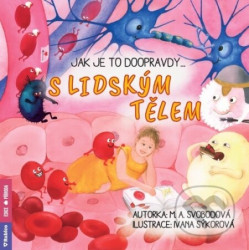 Jak je to doopravdy s lidským tělem