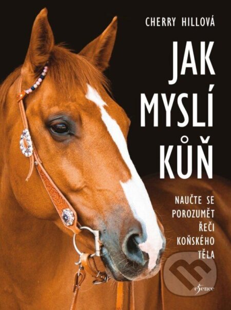 Jak myslí kůň