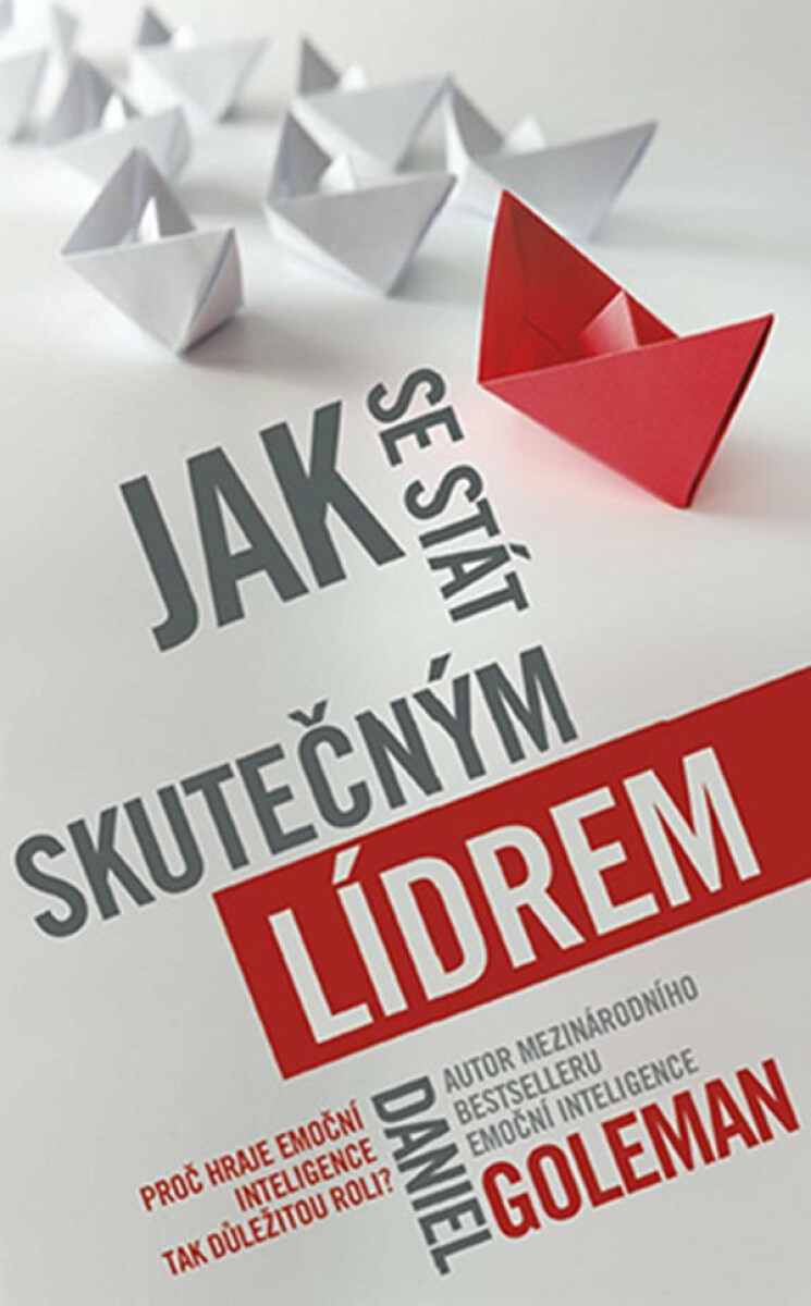 Jak se stát skutečným lídrem - Daniel Goleman