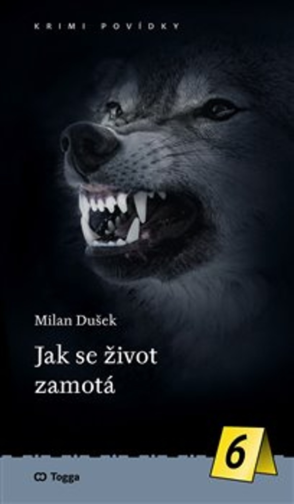 Jak se život zamotá (6.díl)