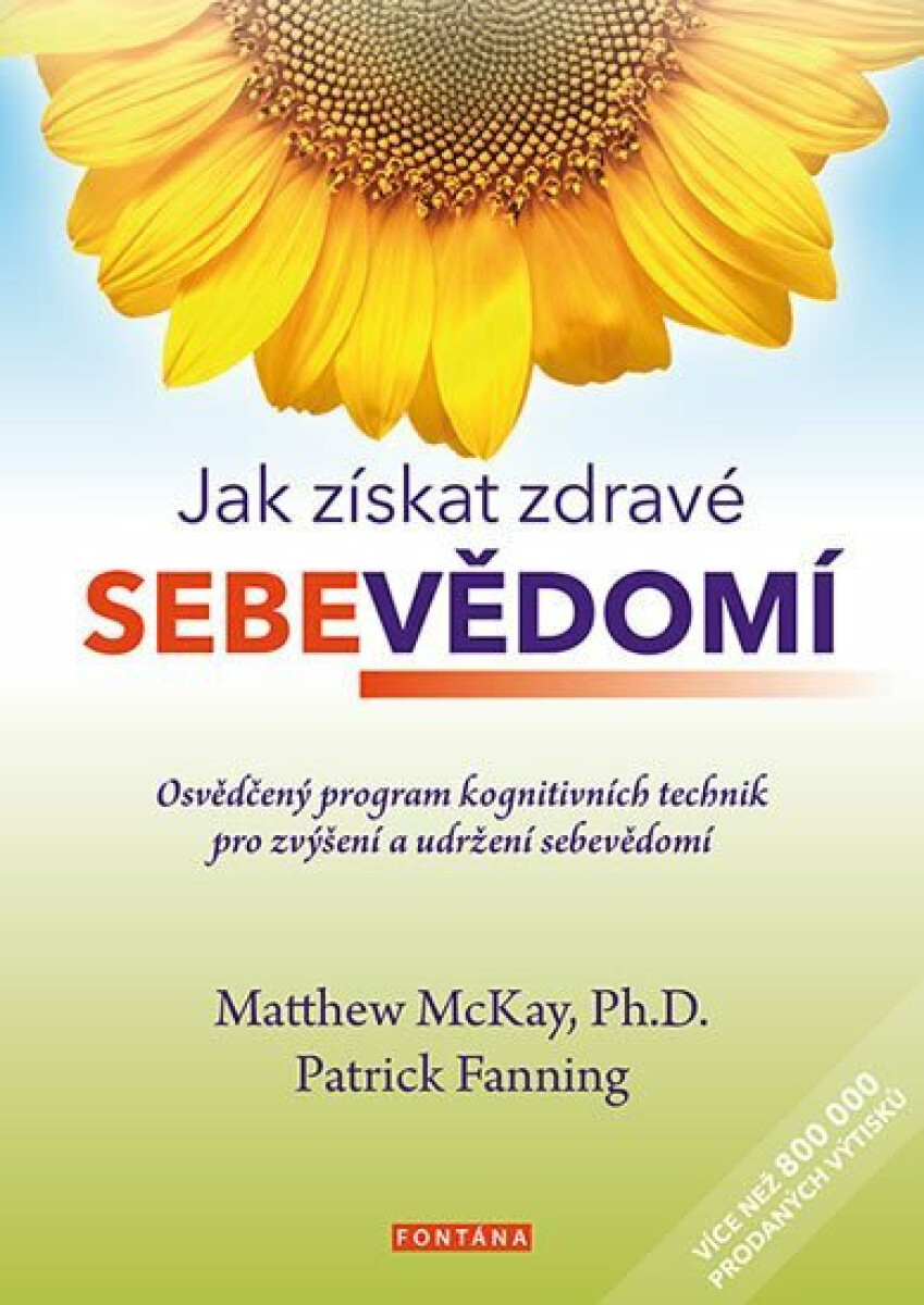 Jak získat zdravé sebevědomí - Patrick Fanning, Matthew McKay