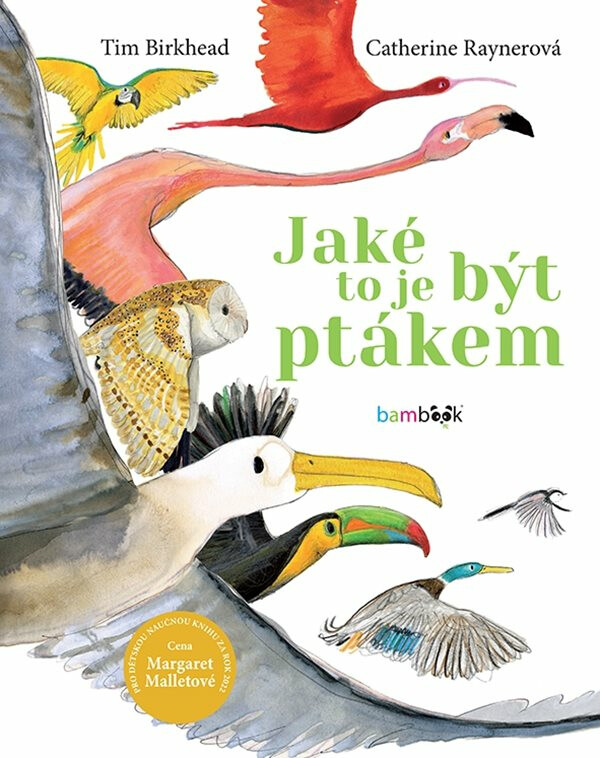 Jaké to je být ptákem - Tim Birkhead, Catherine Raynerová