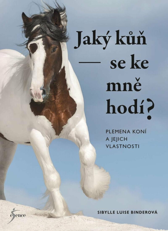 Jaký kůň se ke mně hodí? - Sibylle Luise Binderová