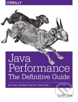 Java Performance (The Definitive Guide)