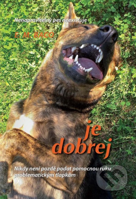 Je dobrej (Nenapravitelný pes neexistuje)