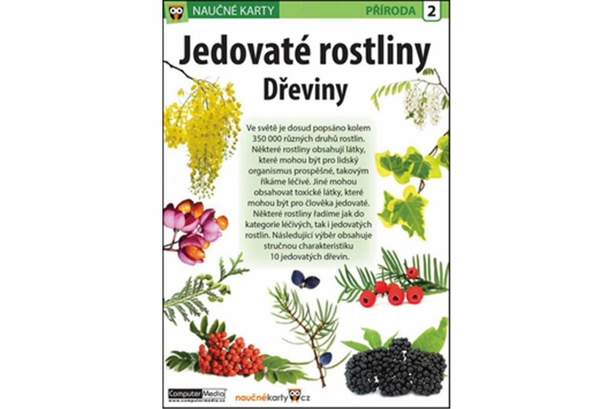 Jedovaté rostliny Dřeviny