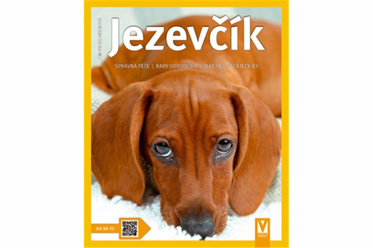 Jezevčík - Fiedelmeierová Leni