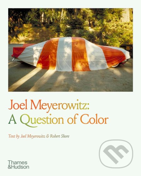 Joel Meyerowitz: A Question of Colour