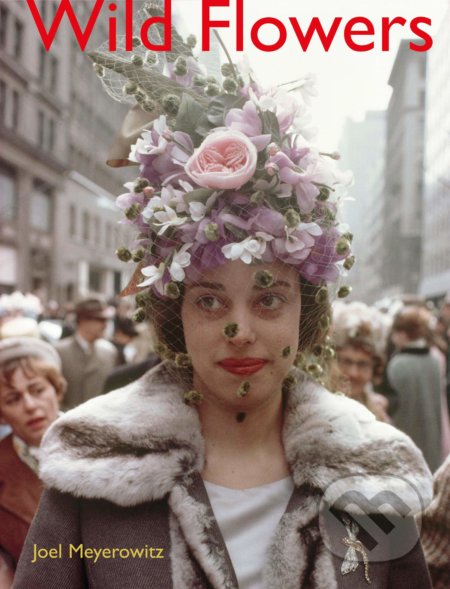 Joel Meyerowitz: Wild Flowers