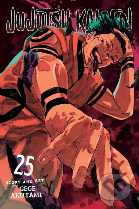 Jujutsu Kaisen, Vol. 25