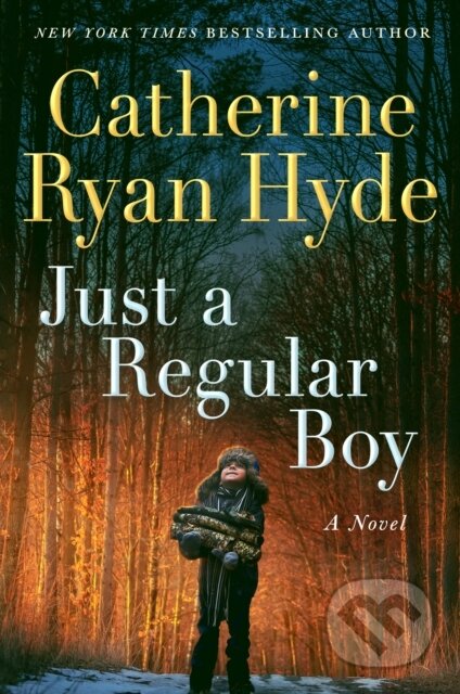 Just a Regular Boy (A Novel)