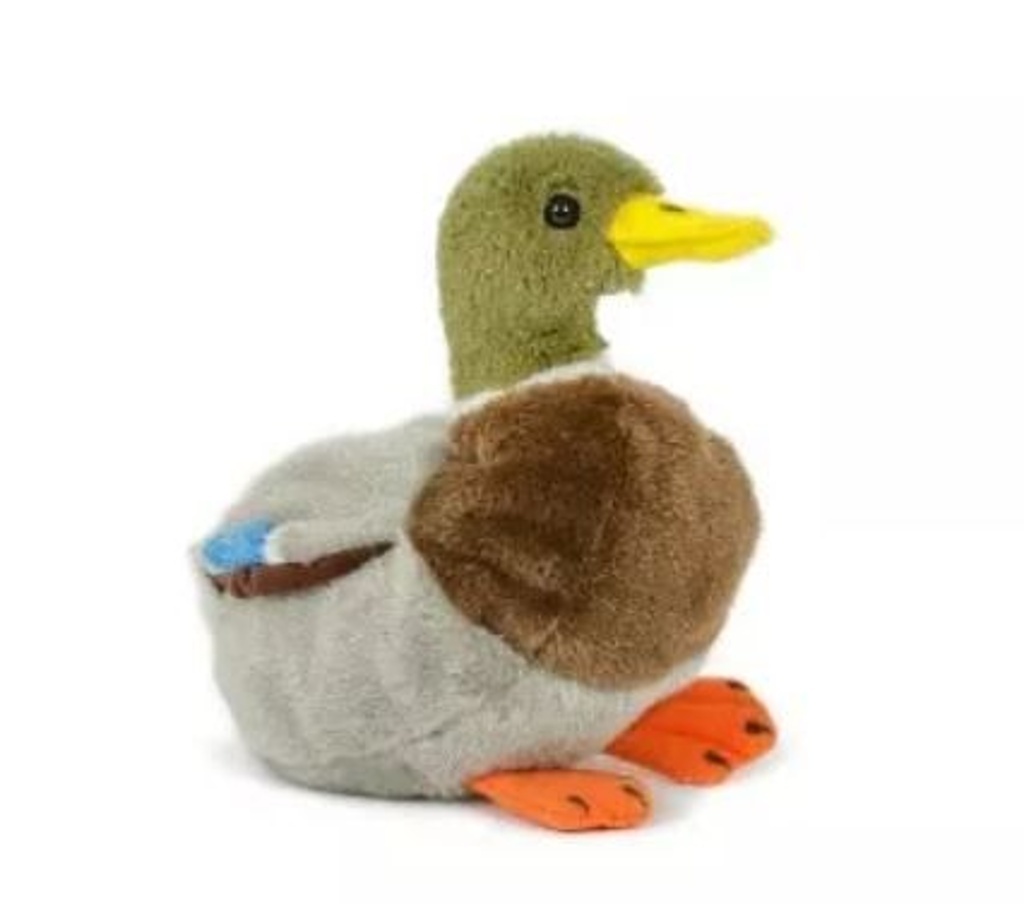 Kačer kachny divoké plyš 18 cm