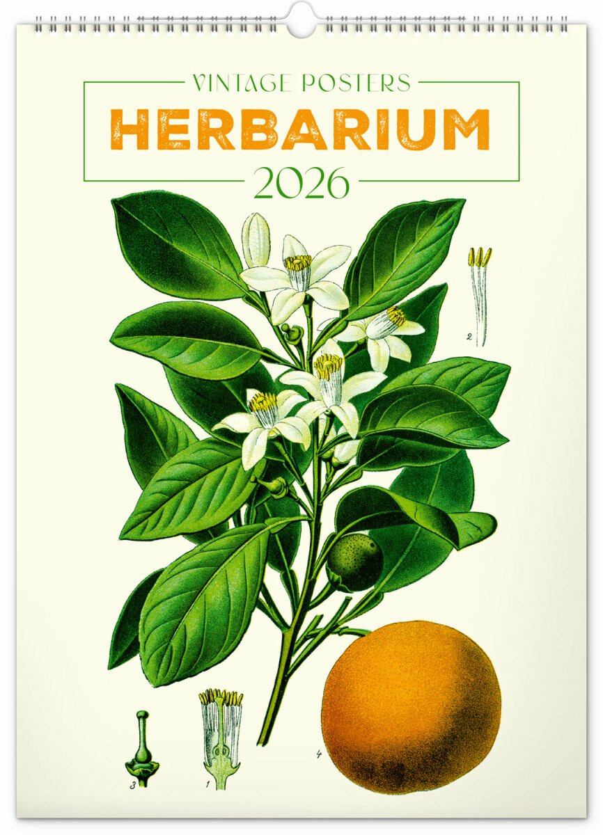 Kalendář 2026 nástěnný: Vintage plakáty - herbář, 33 x 46 cm