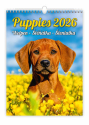 Kalendář nástěnný 2026 - Puppies/Welpen/Štěňátka/Šteniatka