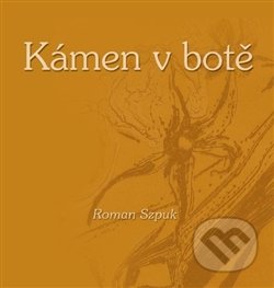 Kámen v botě
