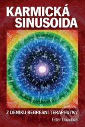 Karmická sinusoida (Z deníku regresivní terapeutky) - kniha z kategorie Psychoterapie