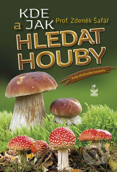 Kde a jak hledat houby (Rady zkušeného houbaře)
