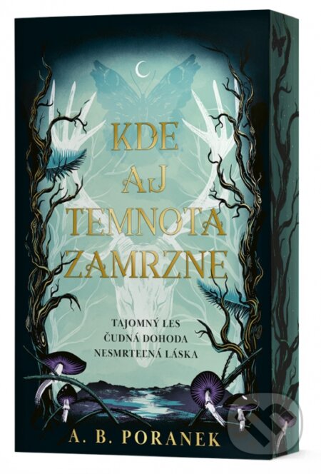 Kde aj temnota zamrzne