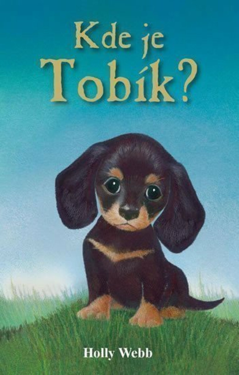Kde je Tobík? - Holly Webbová