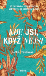 Kde jsi, když nejsi (Je to pravda. Jenom pravda. Včetně té, co nechcete slyšet.) - kniha z kategorie Společenská beletrie