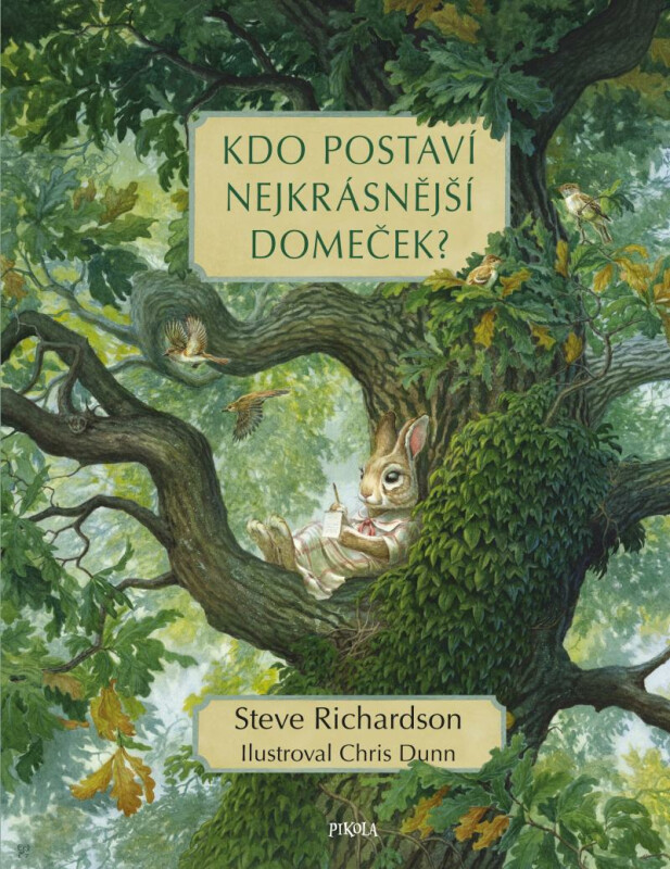 Kdo postaví nejkrásnější domeček? - Richardson Steve