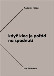 Když klec je pořád na spadnutí (Vzájemná korespondence Antonína Přidala a Jana Zábrany z let 1963–1984) - kniha z kategorie Rozhovory