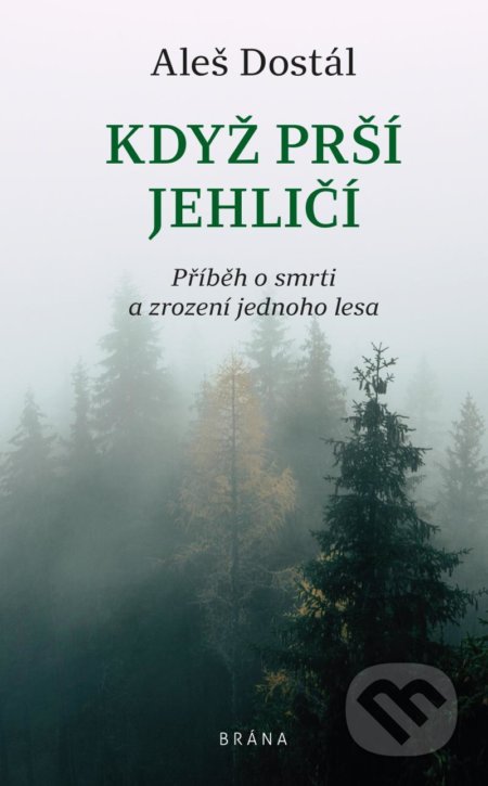 Když prší jehličí