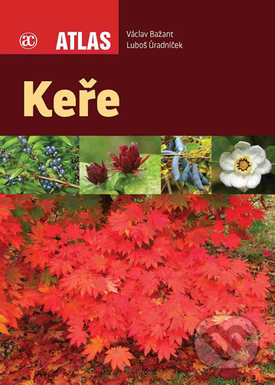 Keře