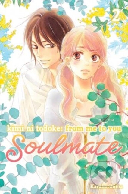 Kimi ni Todoke: From Me to You: Soulmate 2