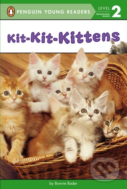 Kit-Kit-Kittens