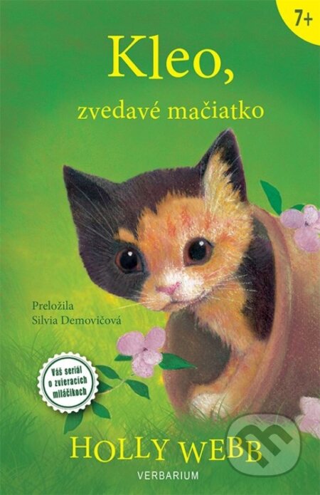 Kleo, zvedavé mačiatko