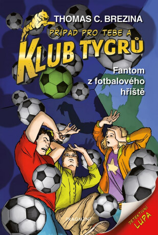 Klub Tygrů Fantom z fotbalového hřiště