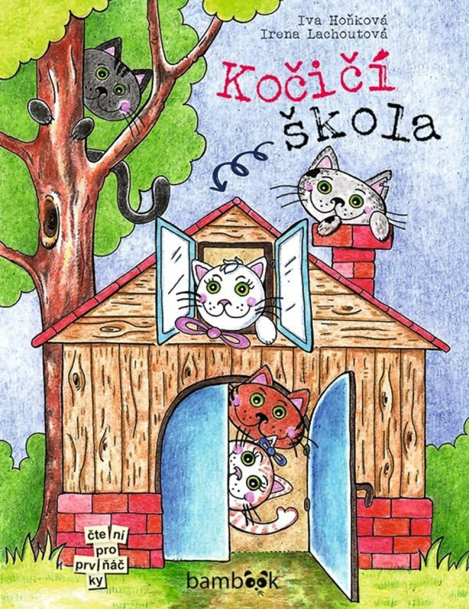 Kočičí škola