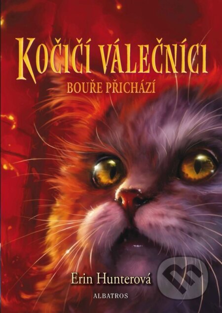 Kočičí válečníci (4)
